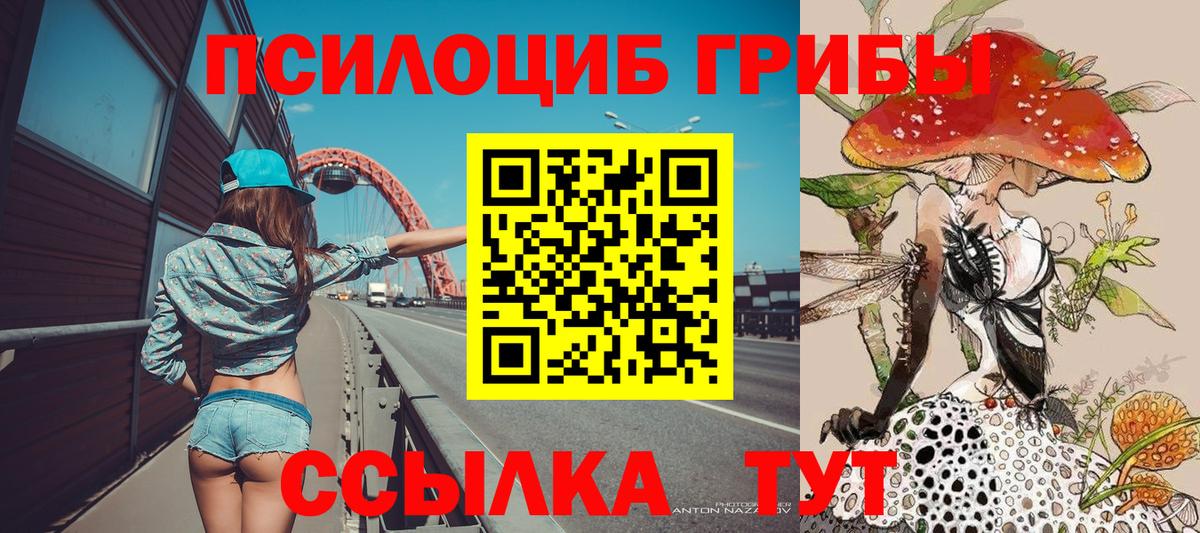 Галлюциногенные грибы Cubensis  Вход с VPN  Советск 